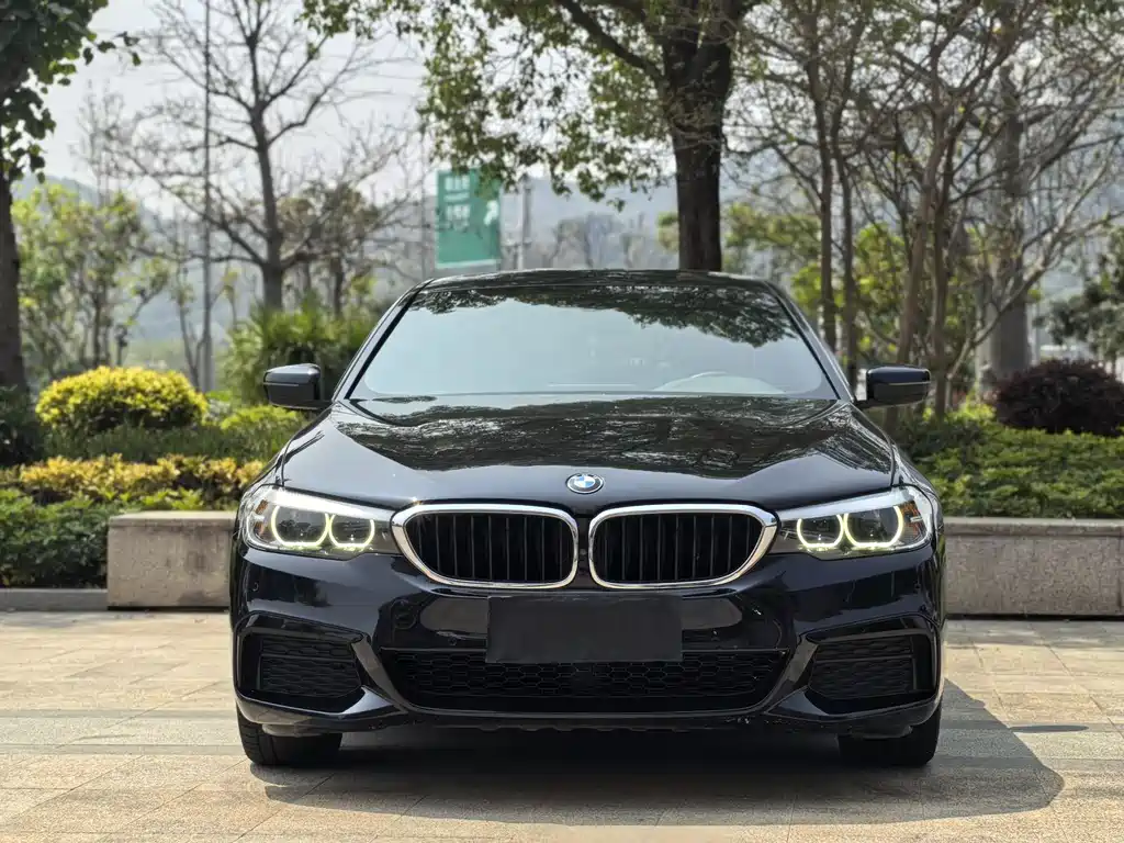 BMW 5 Series 2020 — фото 2