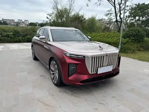 Hongqi E-HS9 2021