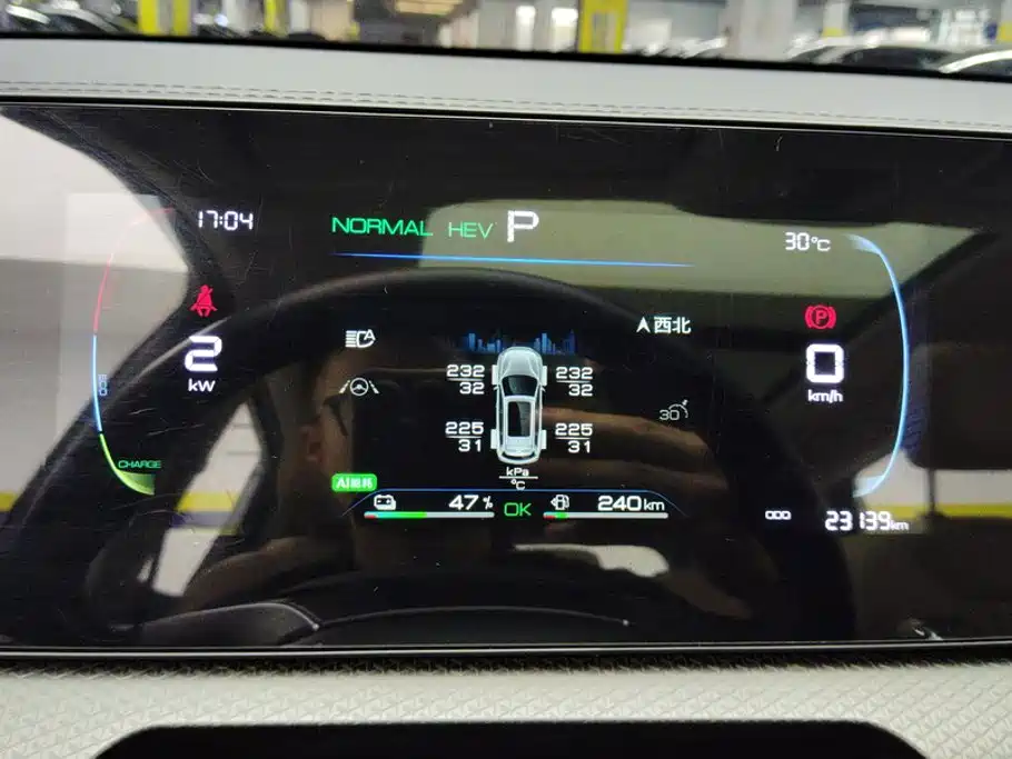 BYD Song Pro New Energy 2025 — фото 14
