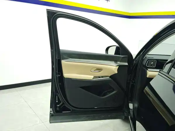 BYD Song Pro New Energy 2025
