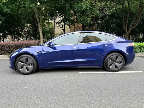 Tesla Model 3 2019