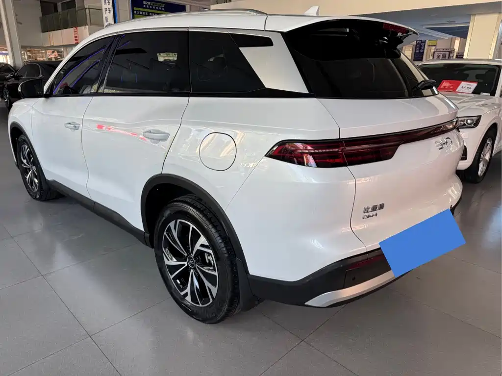 BYD Pro New Energy 2024 — фото 6
