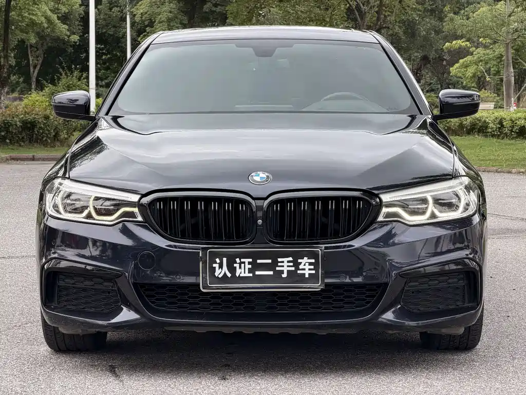 BMW 5 Series 2020 — фото 2