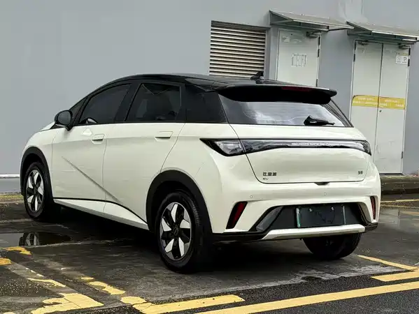 BYD Dolphin 2026
