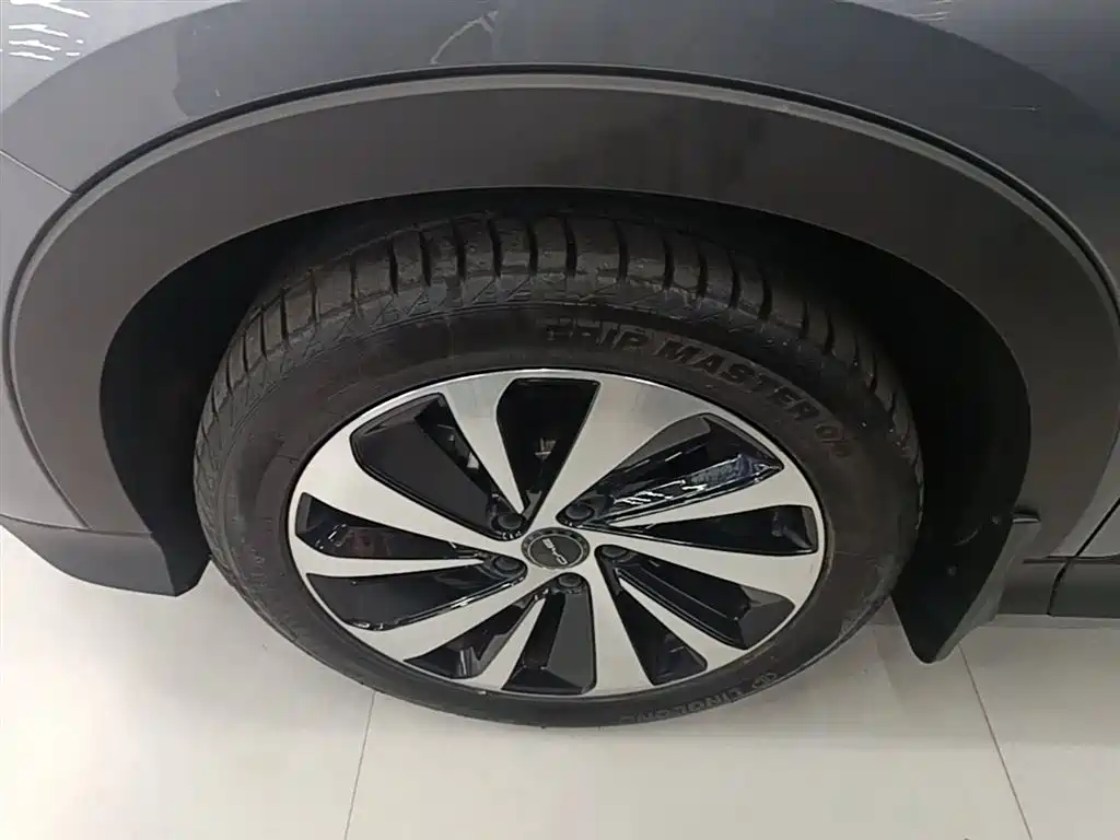 BYD PLUS New Energy 2024 — фото 23