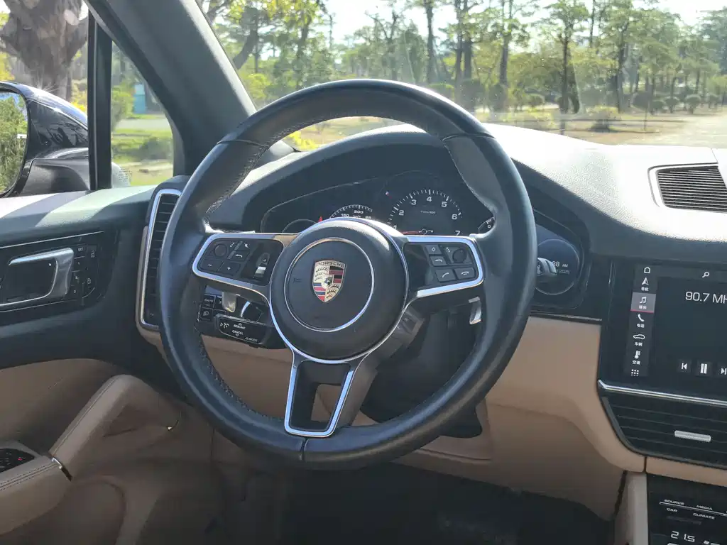 Porsche Cayenne 2020 — фото 16