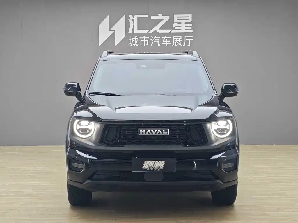 Haval Dog PLUS 2025 — фото 4