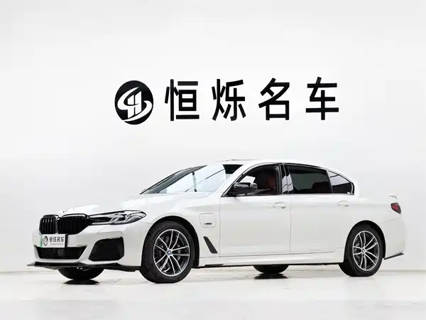 BMW 5 Series New Energy 2022