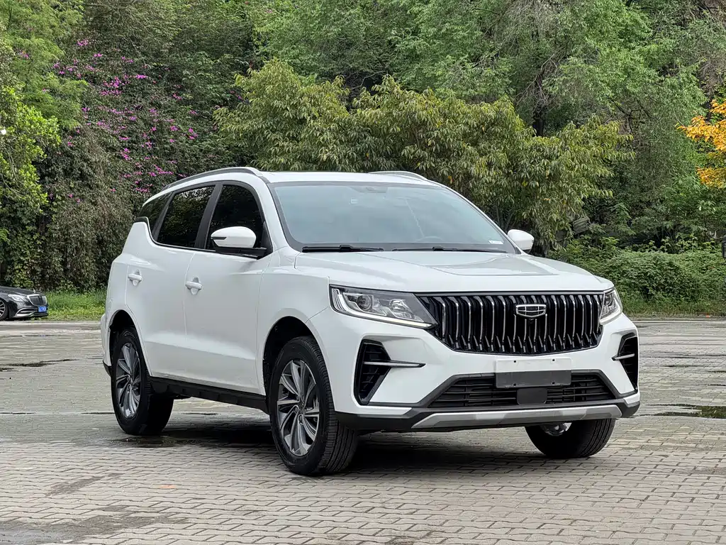 Geely Vision X6 2021 — фото 8