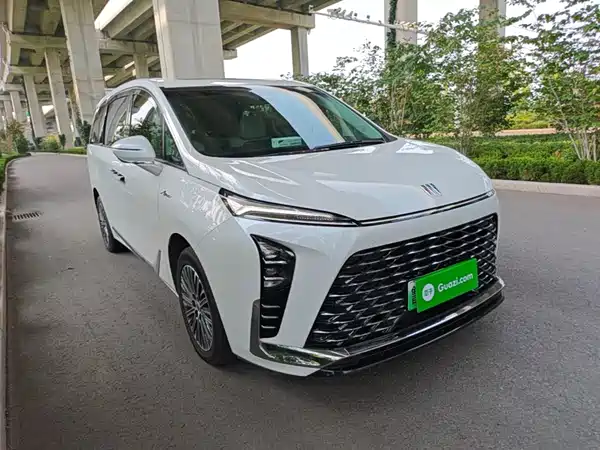 Buick GL8 New Energy 2024