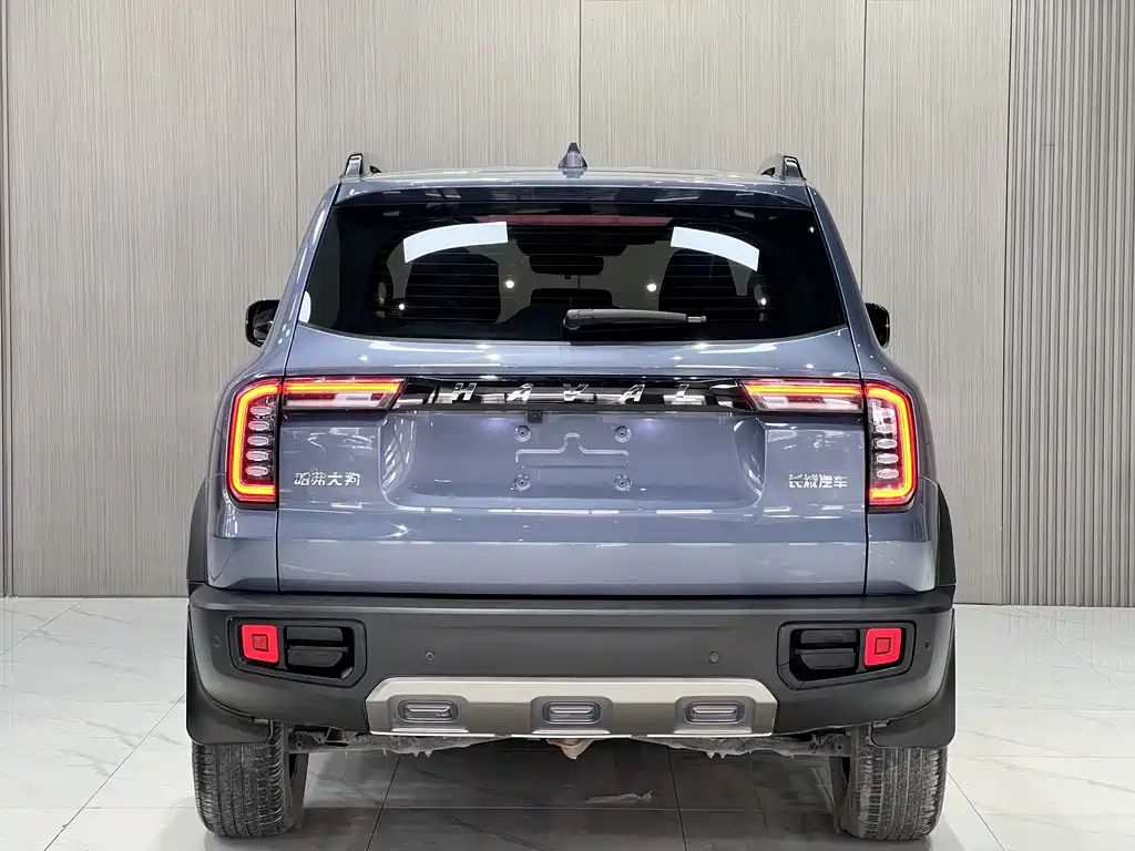 Haval Big Dog 2021 — фото 11