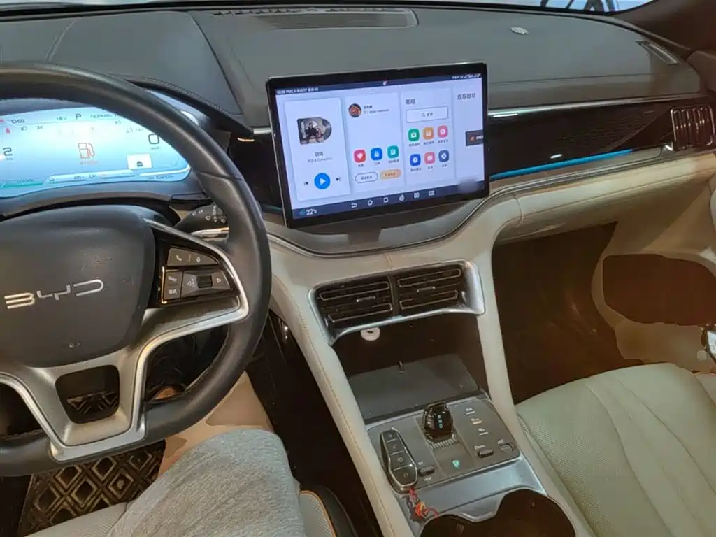 BYD PLUS New Energy 2024 — фото 10