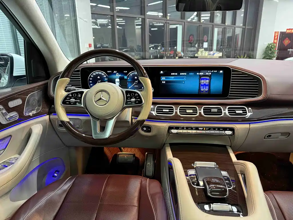 Mercedes-Benz Maybach GLS 2021 — фото 15