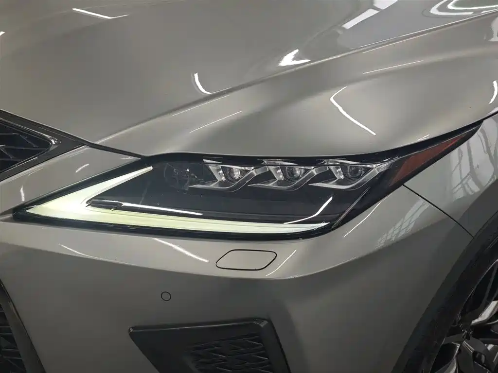 Lexus RX 2020 — фото 22