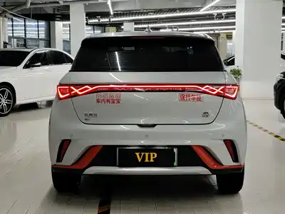 BYD Dolphin 2022
