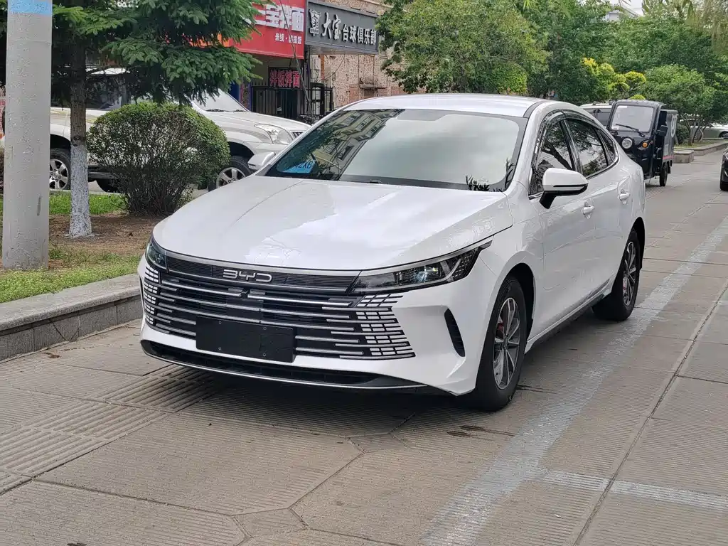 BYD Destroyer 05 2025 — фото 3