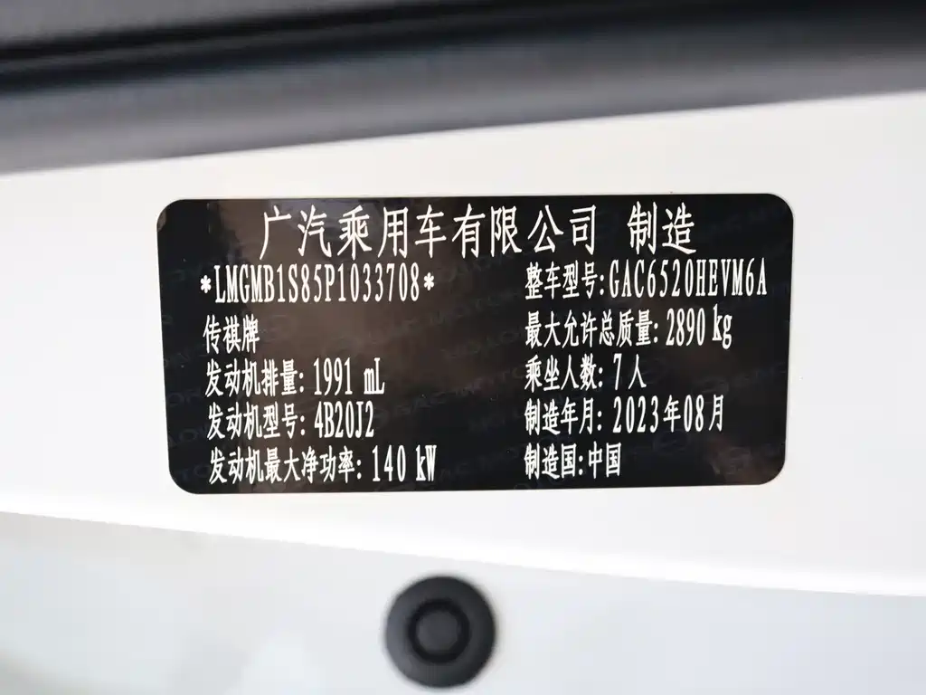 GAC Motor Trumpchi M8 2024 — фото 16
