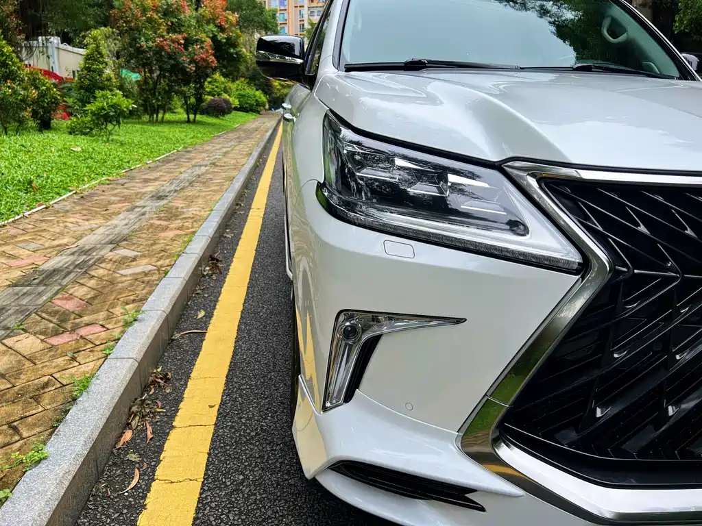 Lexus LX 2019 — фото 15