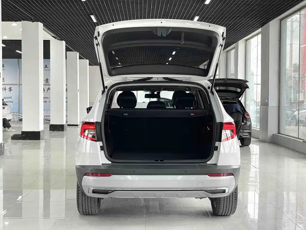 Skoda Karoq 2021 — фото 14