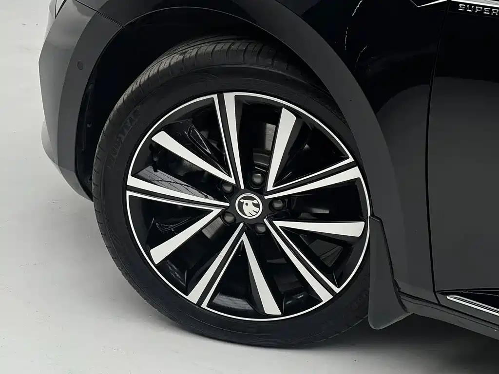 Skoda Speedy 2024 — фото 11