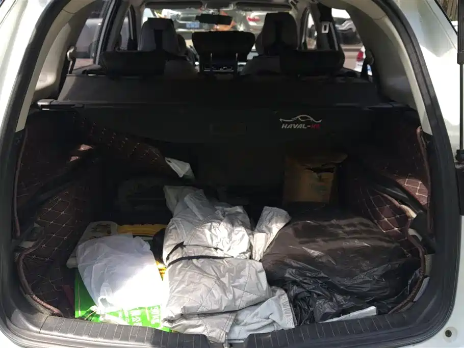 Haval M6 2021