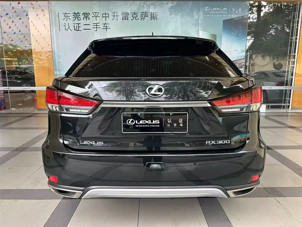 Lexus RX 2020 — фото 8