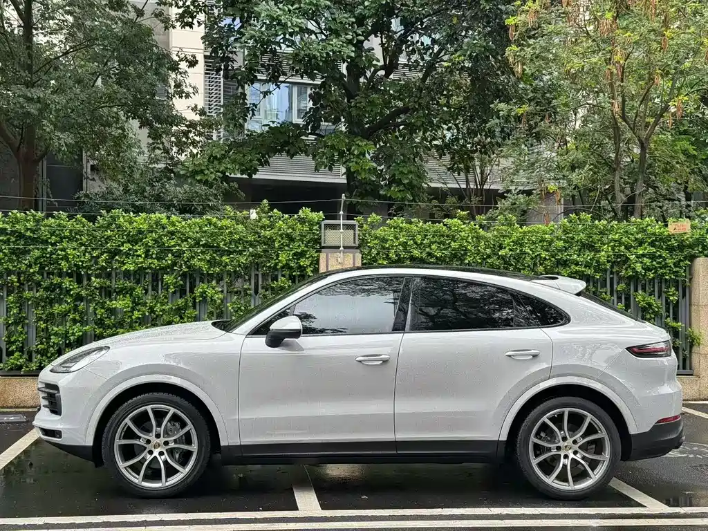 Porsche Cayenne 2021 — фото 9