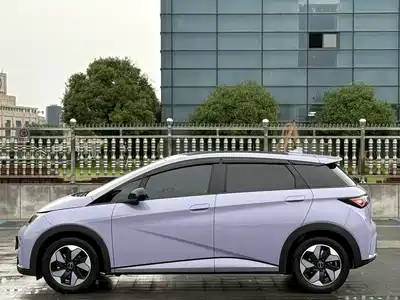 BYD Dolphin 2024