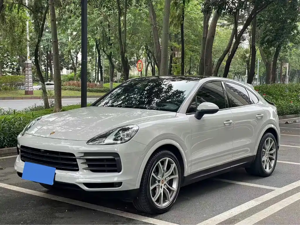 Porsche Cayenne 2021 — фото 1