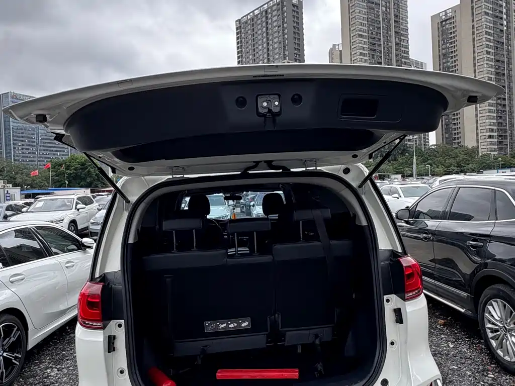 GAC Motor Trumpchi M8 2020 — фото 21