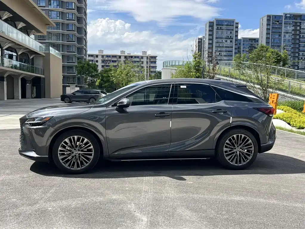Lexus RX New Energy 2023 — фото 14