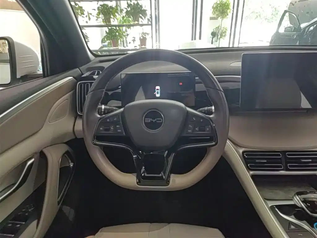 BYD Pro New Energy 2024 — фото 11