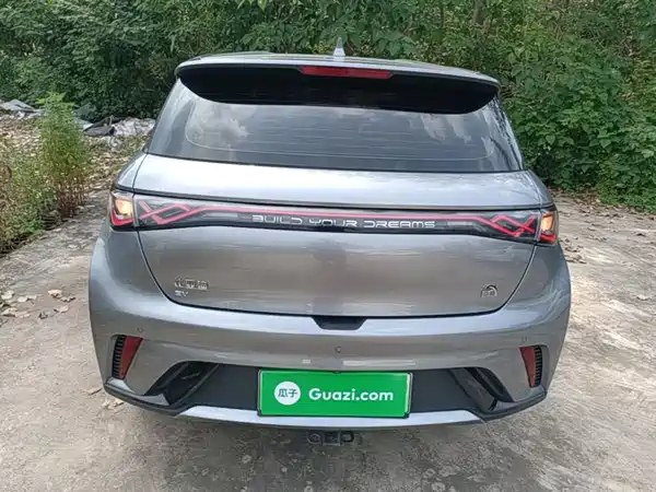 BYD Dolphin 2022