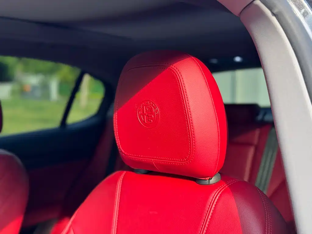 Alfa Romeo Stelvio 2019 — фото 13