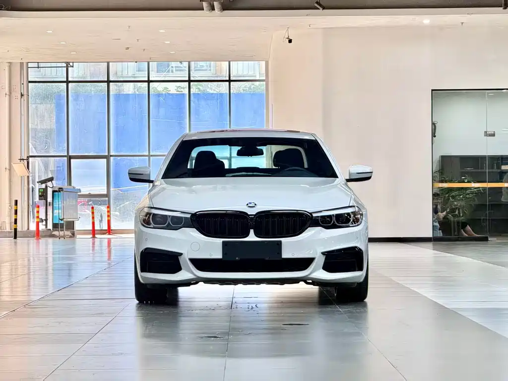 BMW 5 Series 2019 — фото 2