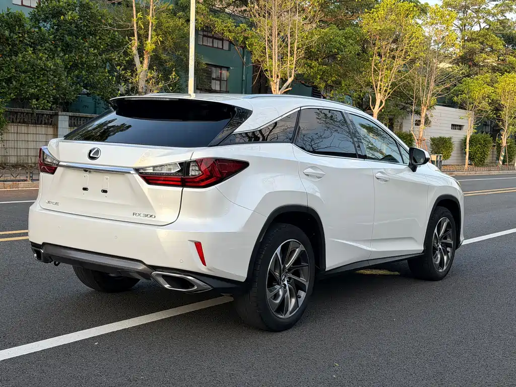 Lexus RX 2019 — фото 9
