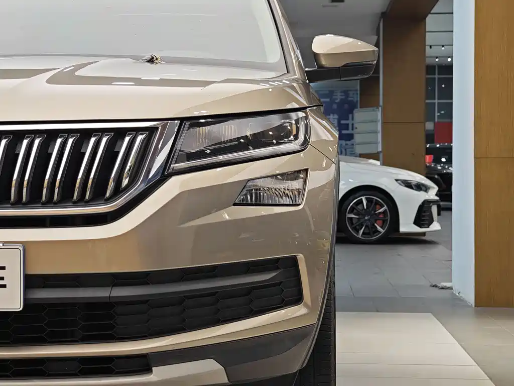 Skoda Kodiaq 2017 — фото 2