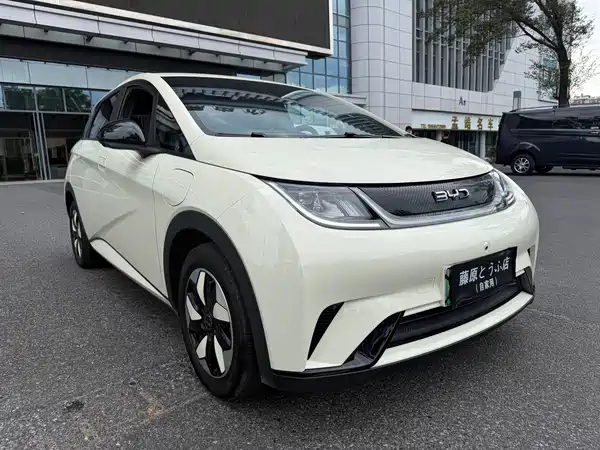 BYD Dolphin 2024
