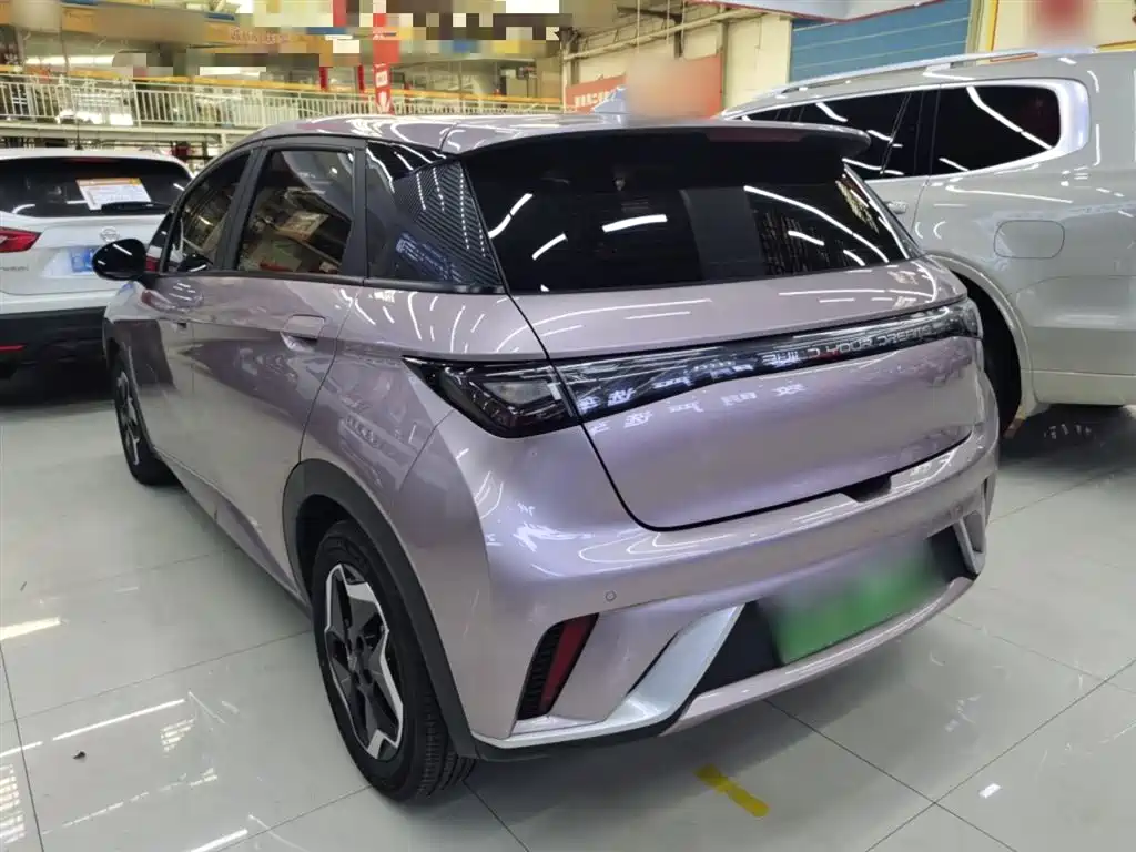 BYD Dolphin 2023 — фото 23