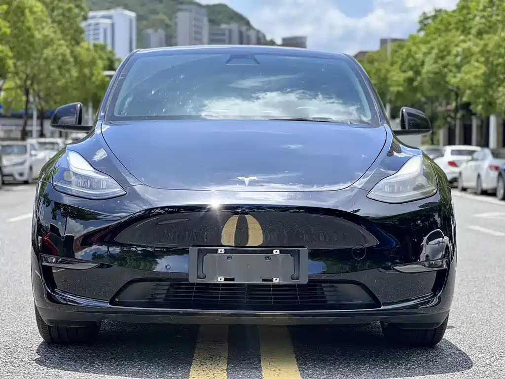 Tesla Model Y 2022 — фото 3
