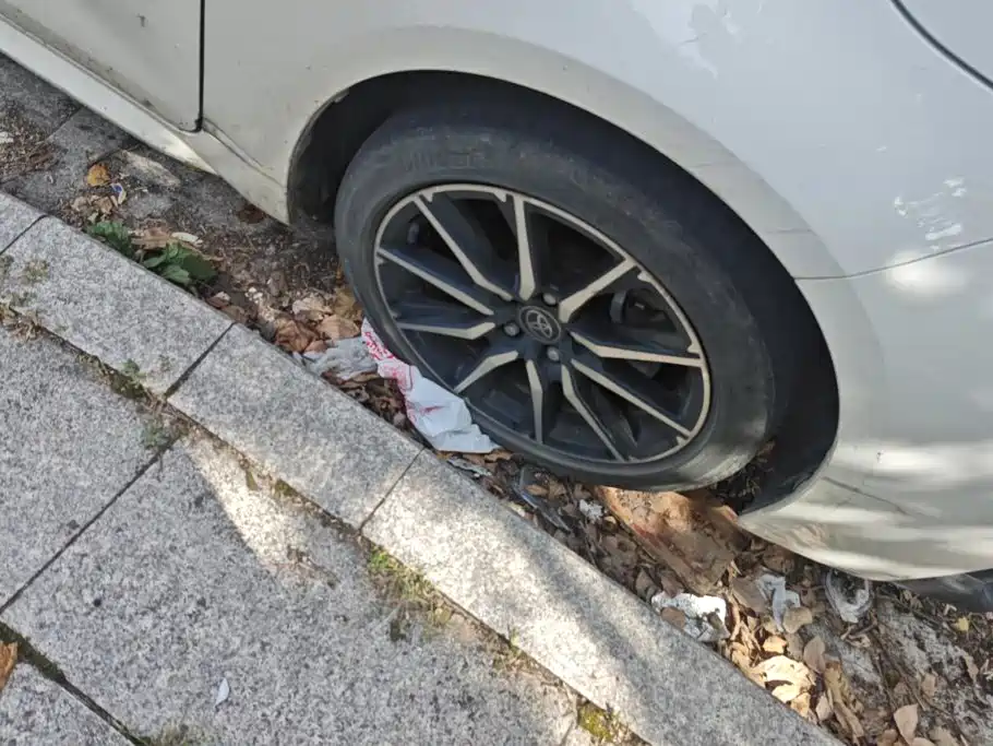 Toyota Levin 2023