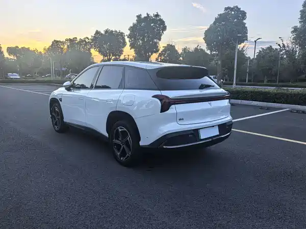 Neta L 2024