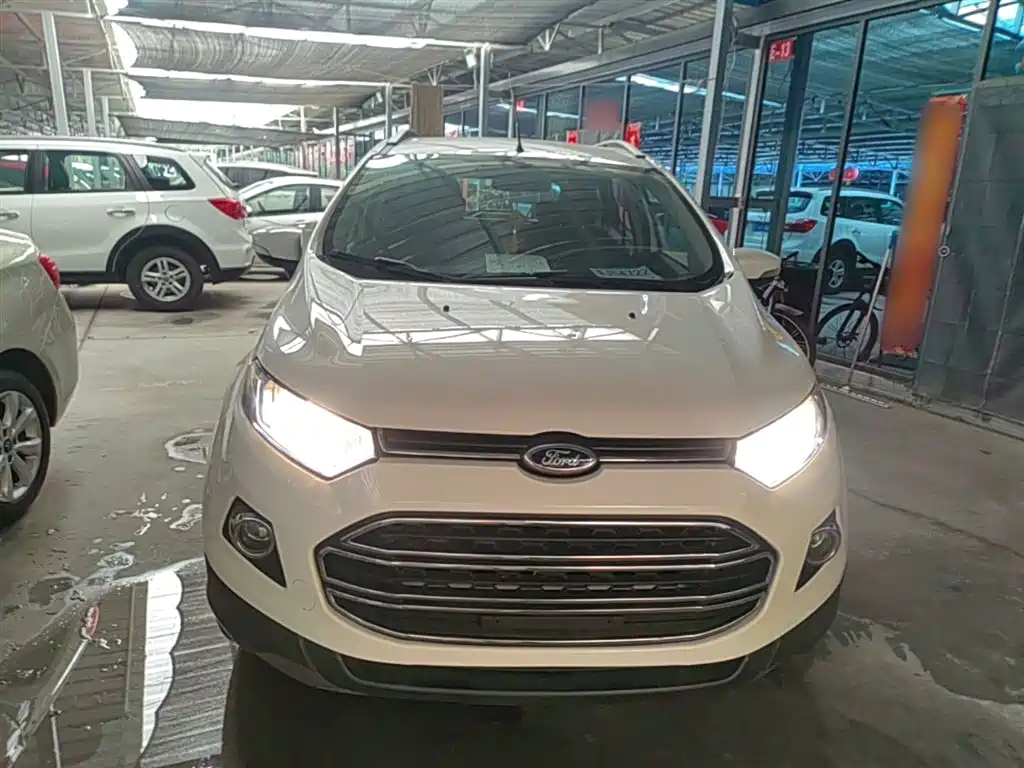 Ford Ecosport 2014 — фото 3