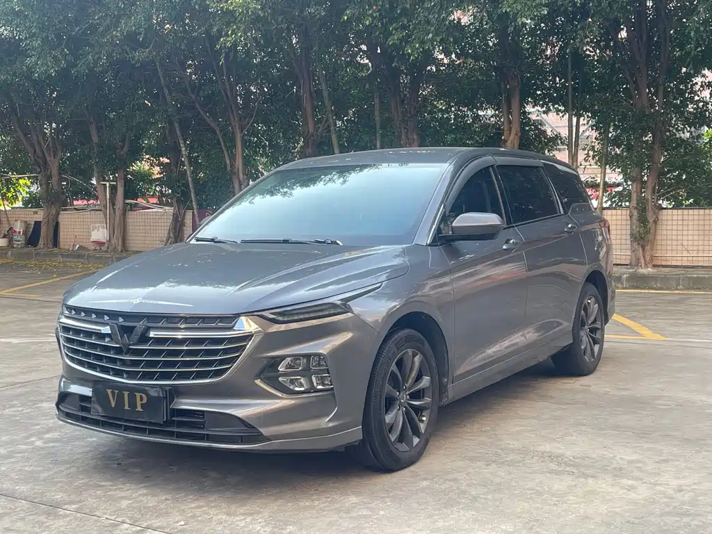 Wuling Victory 2021