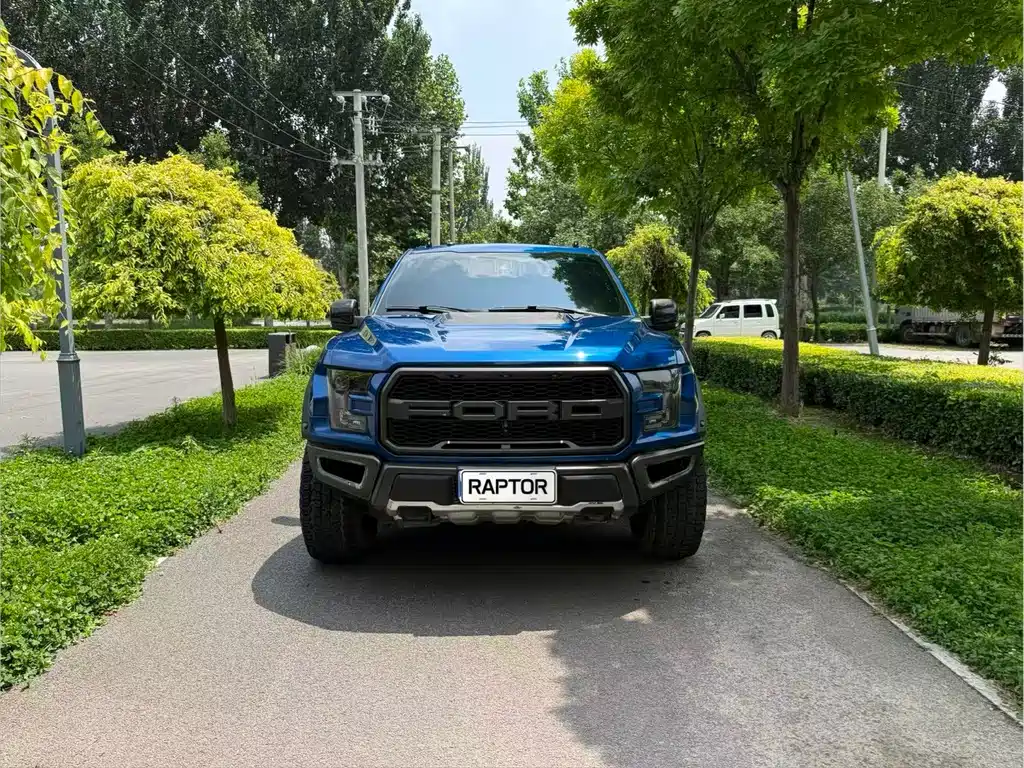 Ford F-150 Raptor 2018 — фото 2
