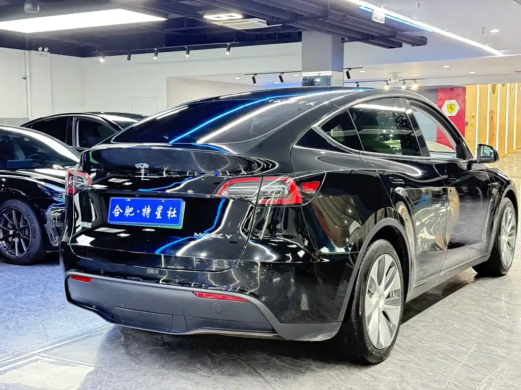 Tesla Model Y 2021 — фото 10