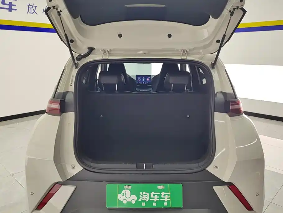 BYD Seagull 2024