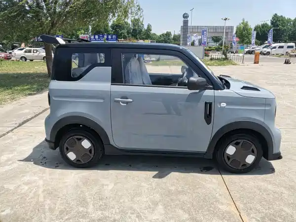 Geely Galaxy Panda 2025