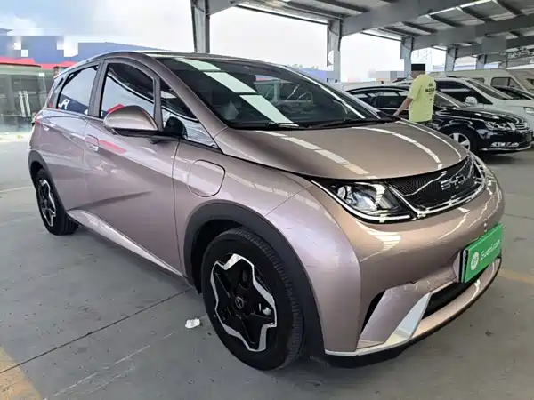 BYD Dolphin 2022