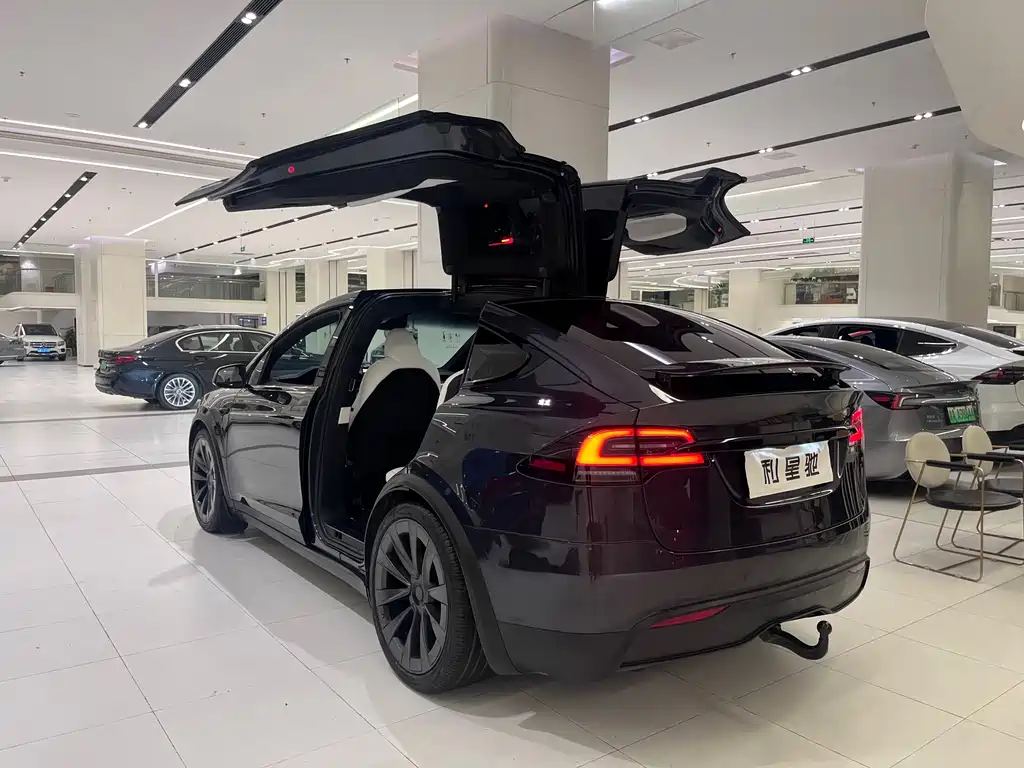 Tesla Model X 2024 — фото 4